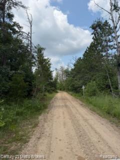 0000 Winding Rd Road Property Photo 1