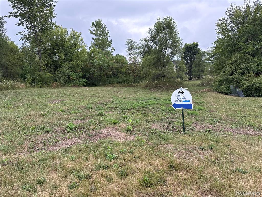 9215 Potterville Drive Property Photo 2