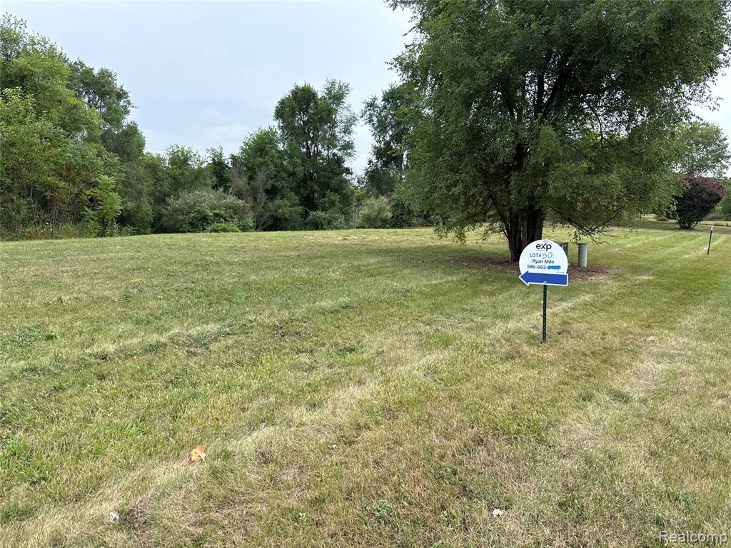 9153 Potterville Drive Property Photo 2