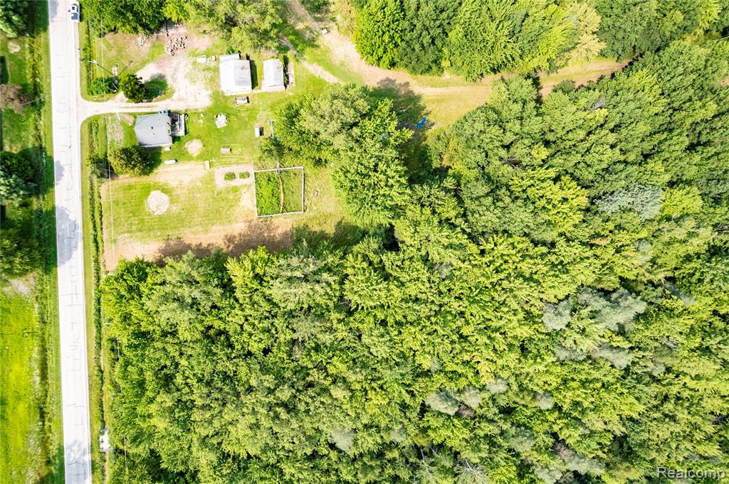 11308 Wilson Road Property Photo 12