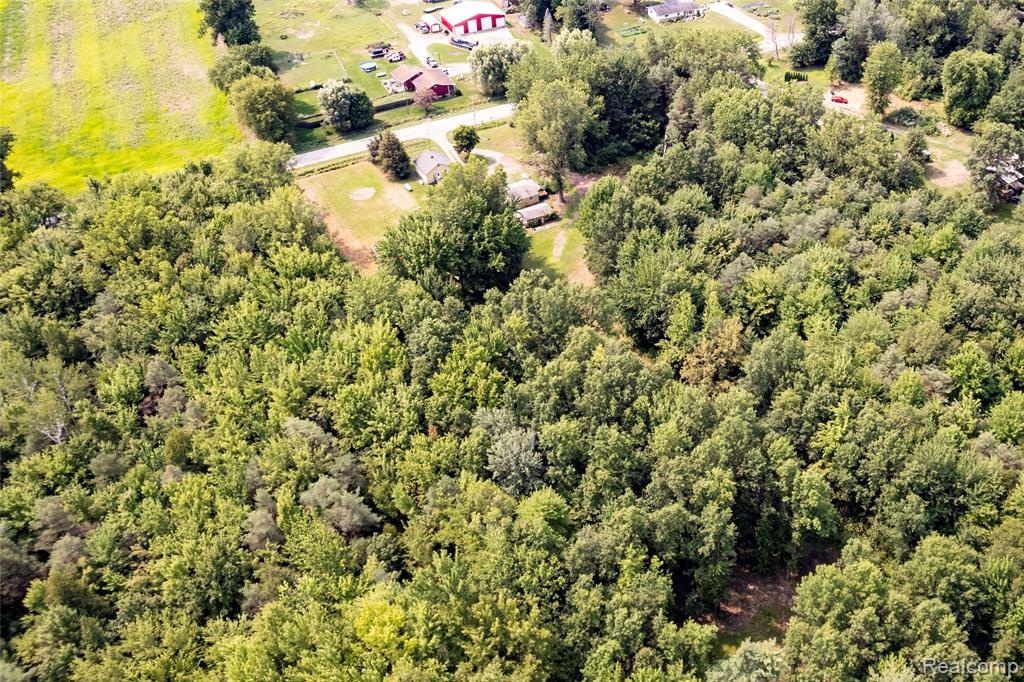 11308 Wilson Road Property Photo 15