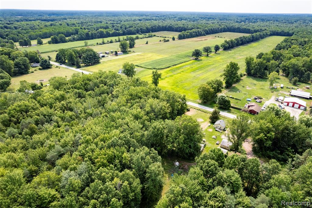 11308 Wilson Road Property Photo 19
