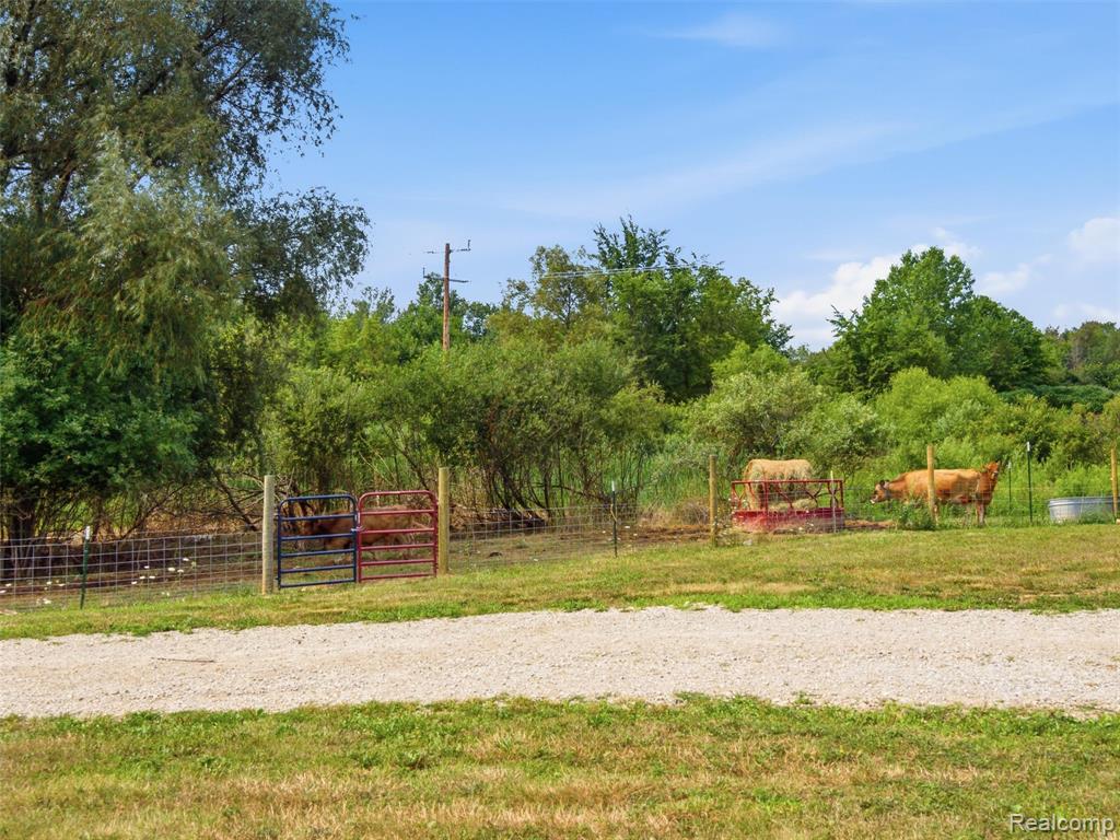 7241 Lyons Road Property Photo 50