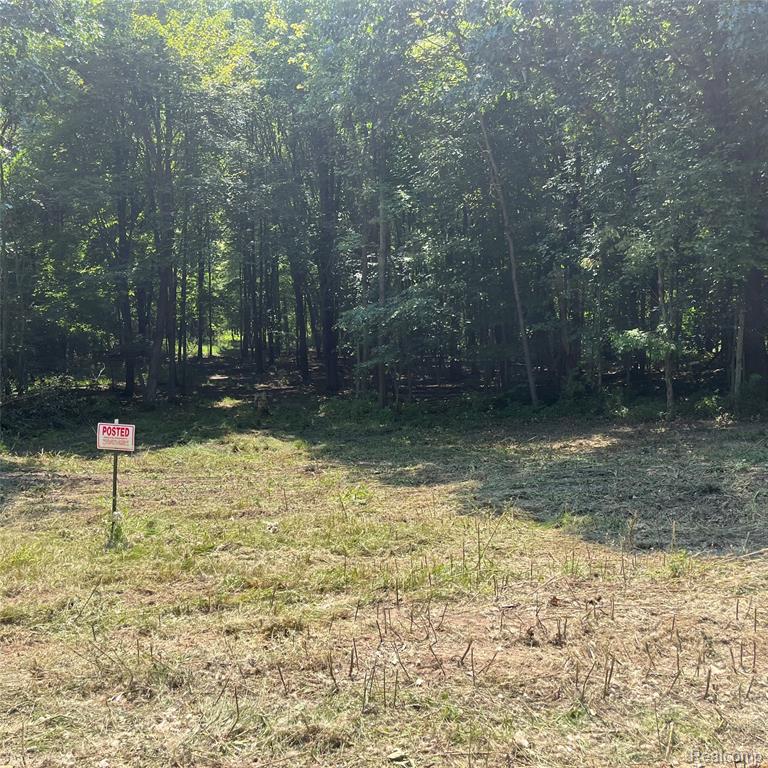1255 Houghton Trail Property Photo 3
