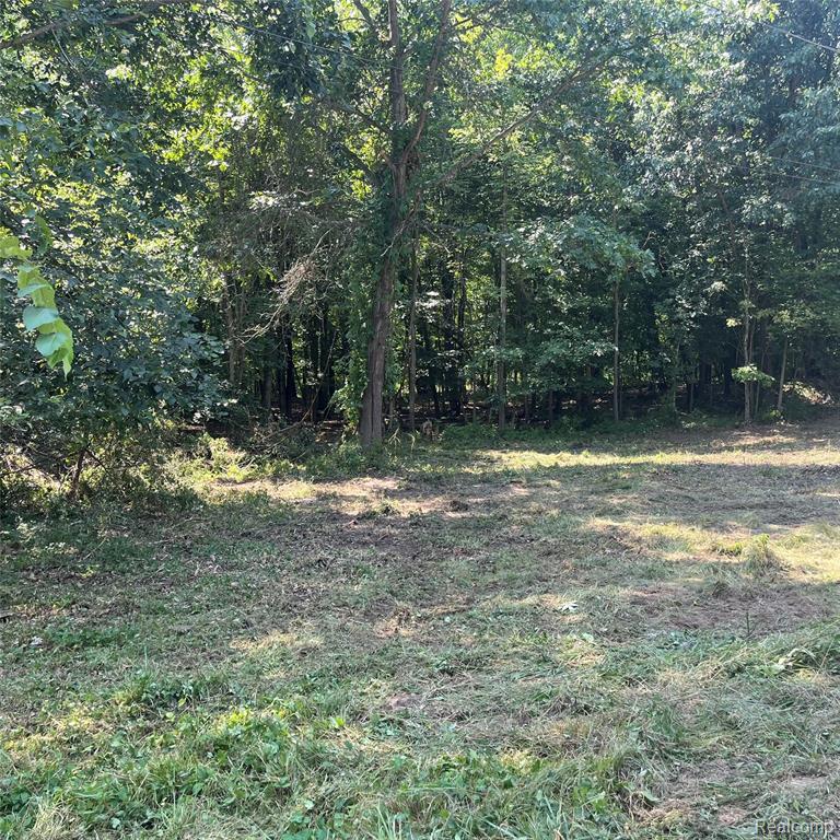 1255 Houghton Trail Property Photo 5