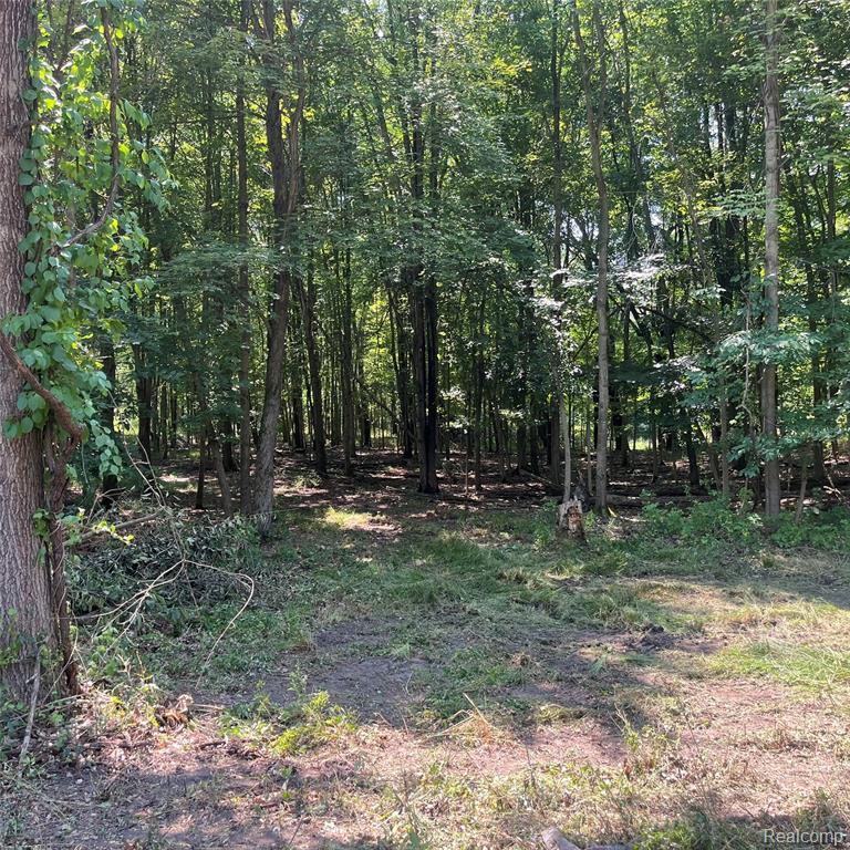 1255 Houghton Trail Property Photo 6