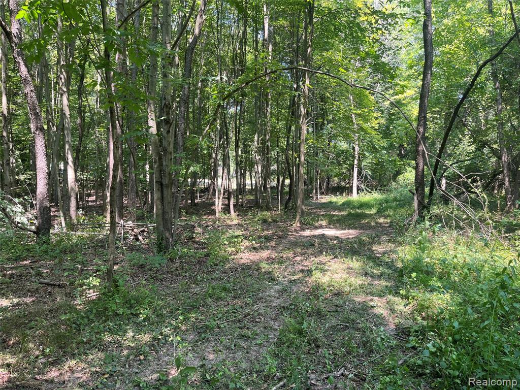 1255 Houghton Trail Property Photo 8