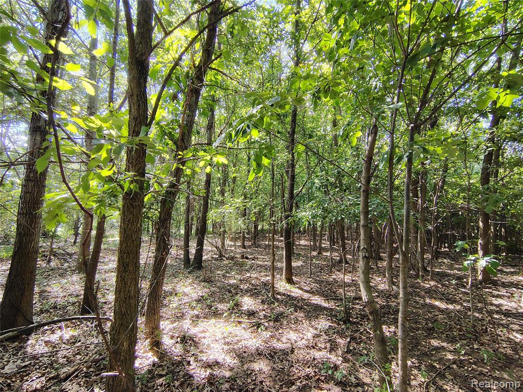 Parcel D Brigham Road Property Photo 1