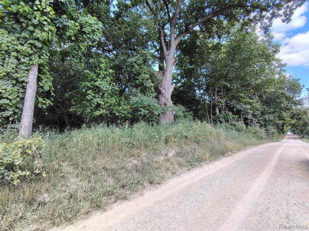 Parcel D Brigham Road Property Photo 2