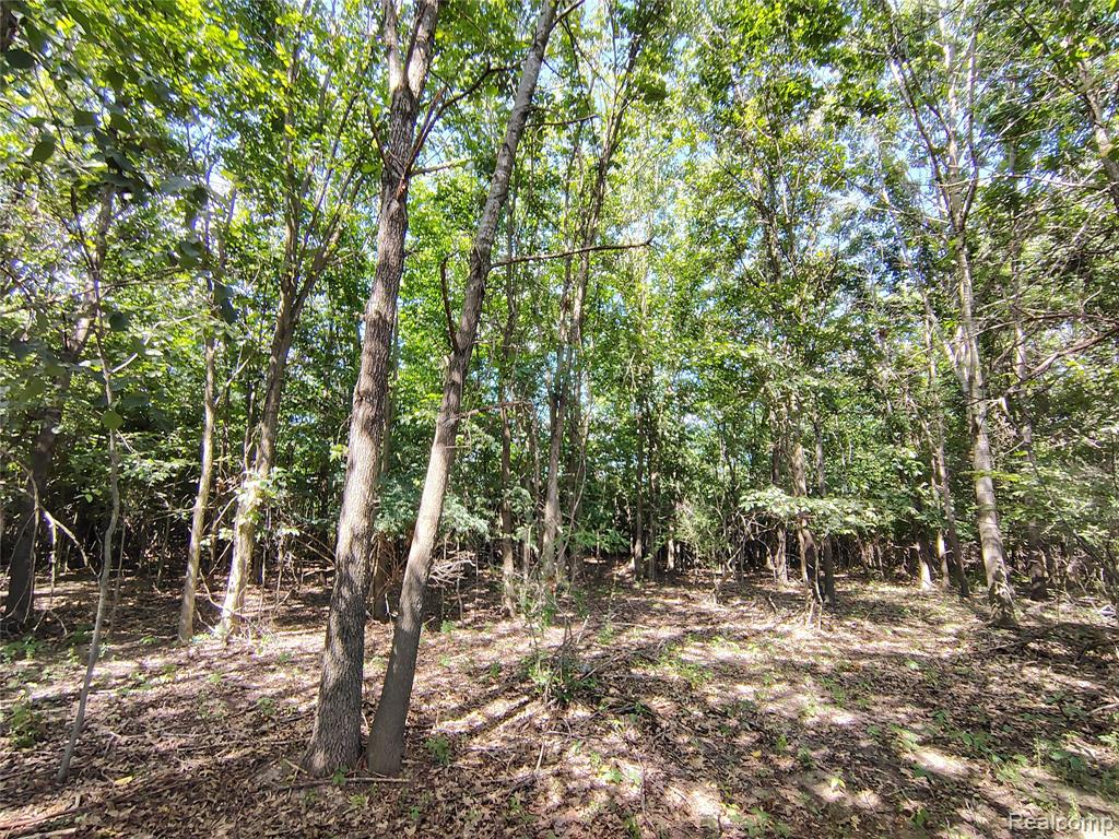 Parcel D Brigham Road Property Photo 3