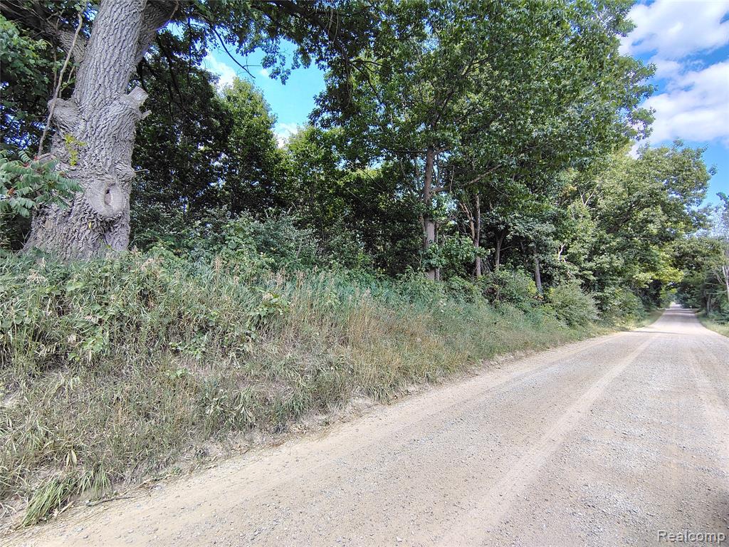 Parcel D Brigham Road Property Photo 4
