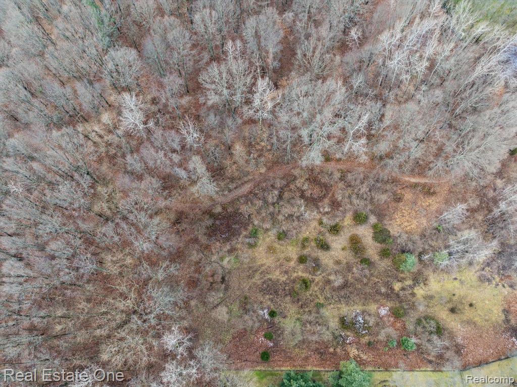 2423 Canterwood Property Photo 15