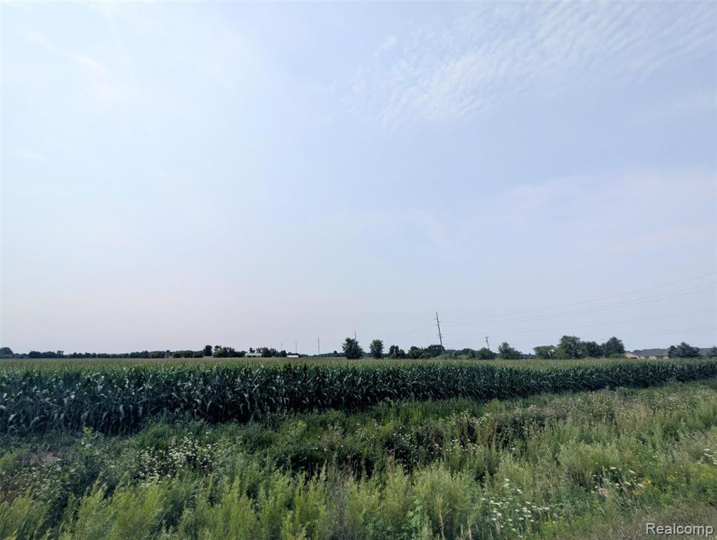 0 Brown Road Property Photo 3