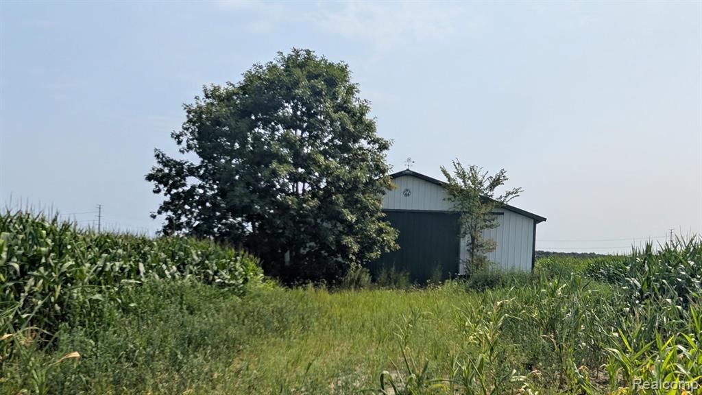0 Brown Road Property Photo 4
