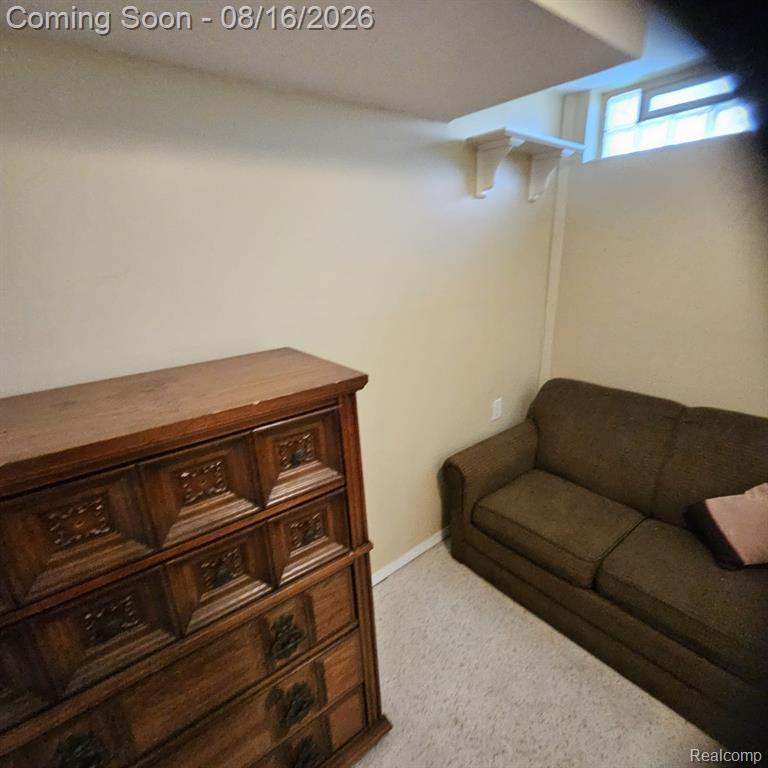 45113 Lindsey Drive Property Photo 26