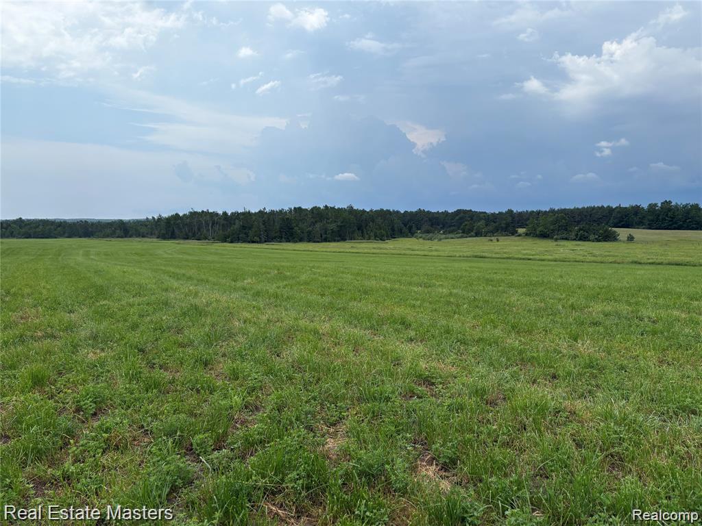 300 E Hubert Road Property Photo 6