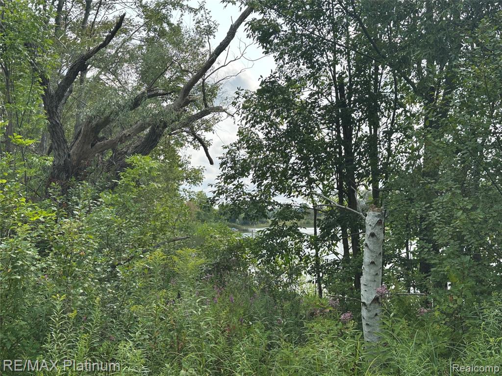 W Peterson Drive Property Photo 6