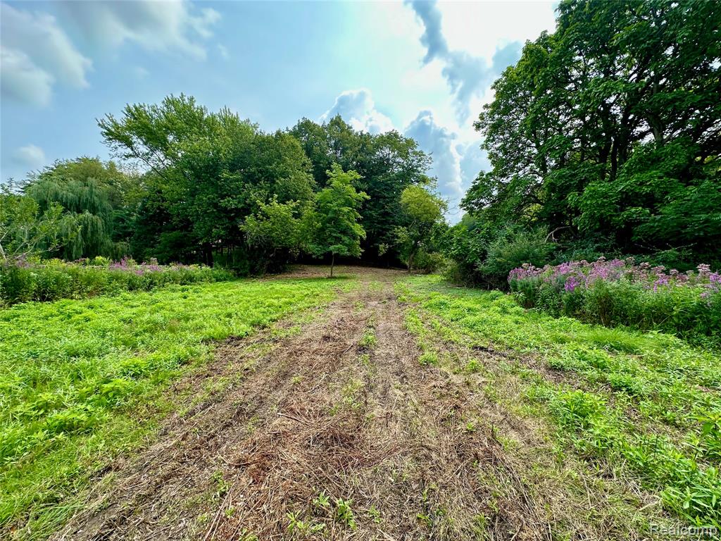 0 Latson Road Property Photo 1