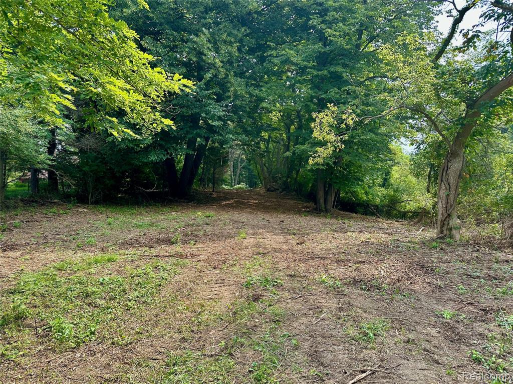0 Latson Road Property Photo 2