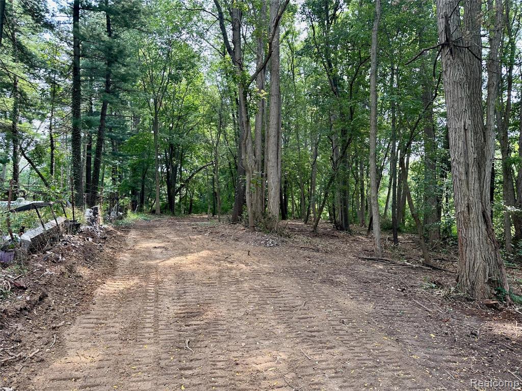 0 Latson Road Property Photo 5