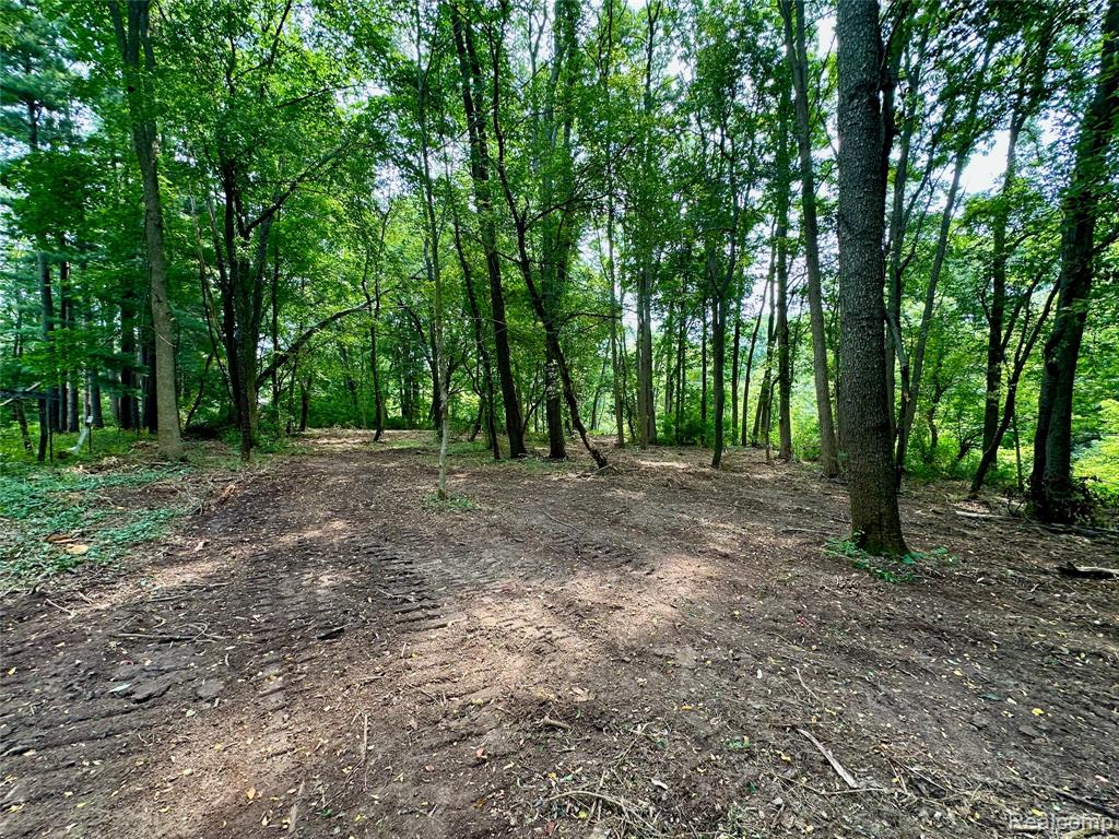 0 Latson Road Property Photo 6