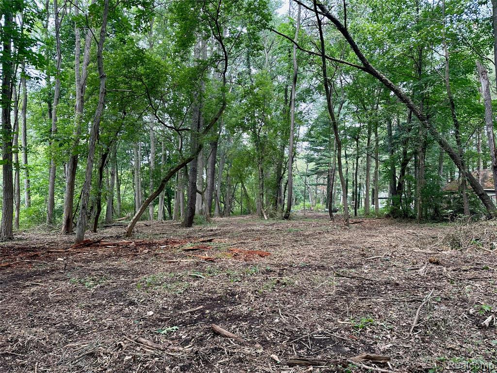 0 Latson Road Property Photo 8