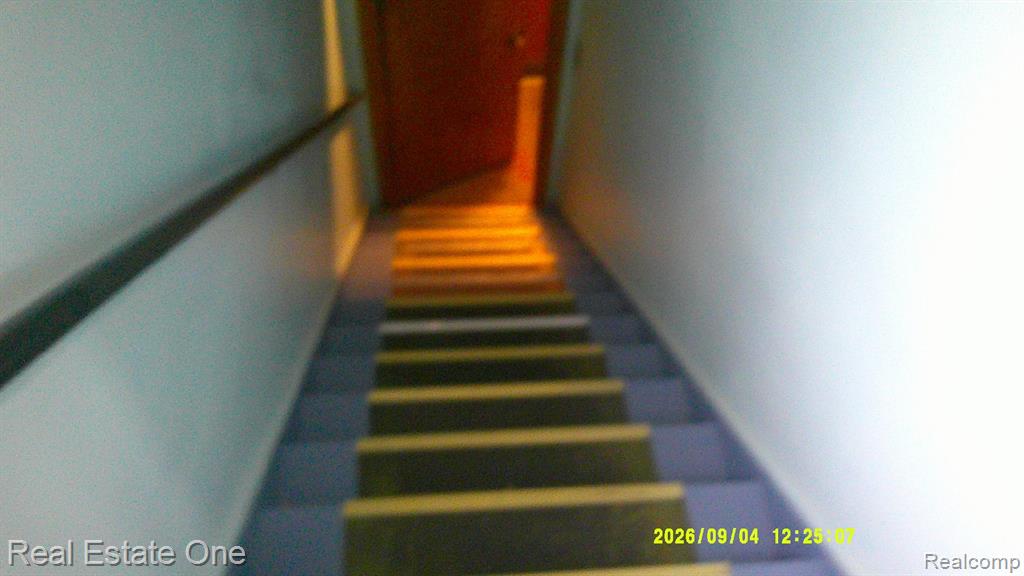 6403 Appoline Street Property Photo 57