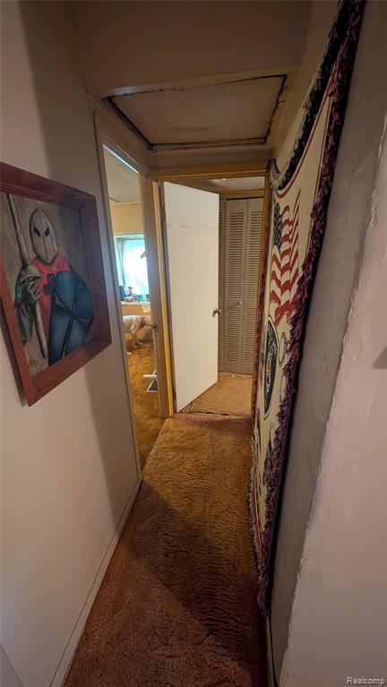 2945 Maganser Drive Property Photo 8