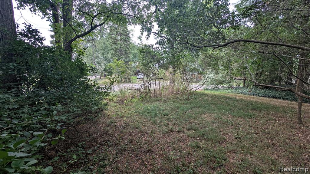 2945 Maganser Drive Property Photo 66