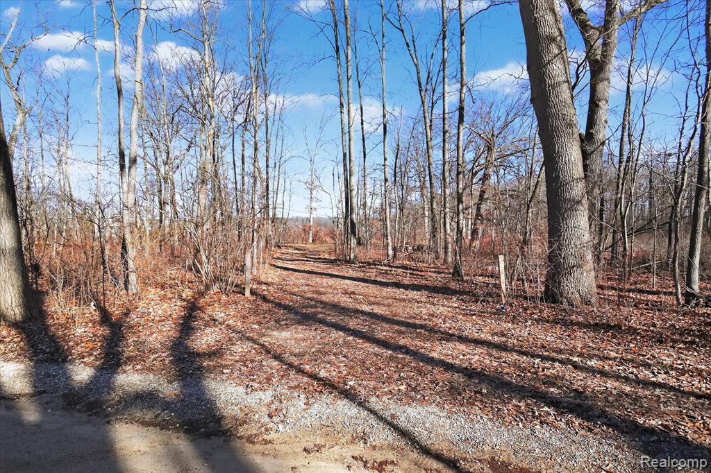 11770 Shaffer Road Property Photo 2