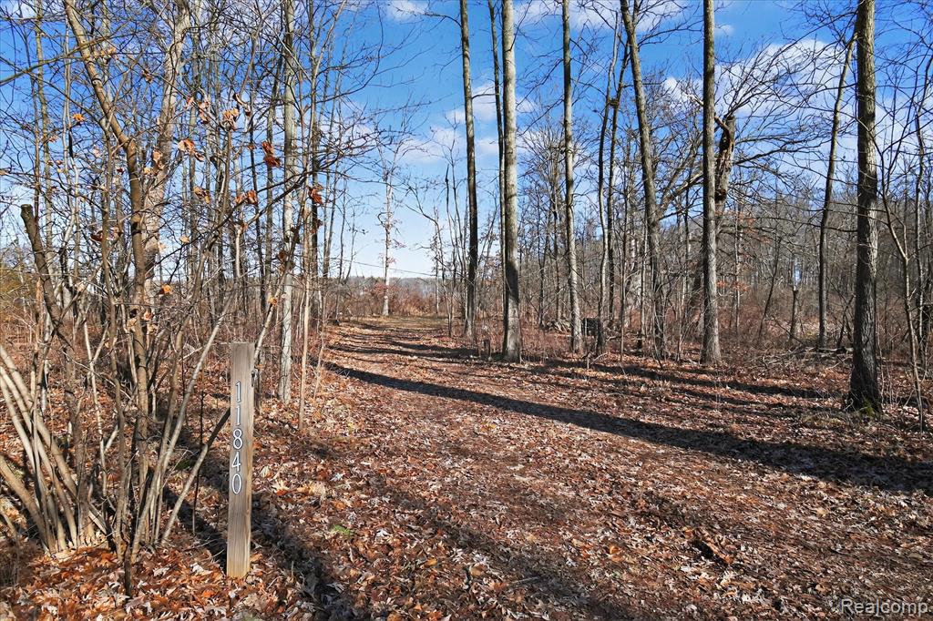 11770 Shaffer Road Property Photo 3