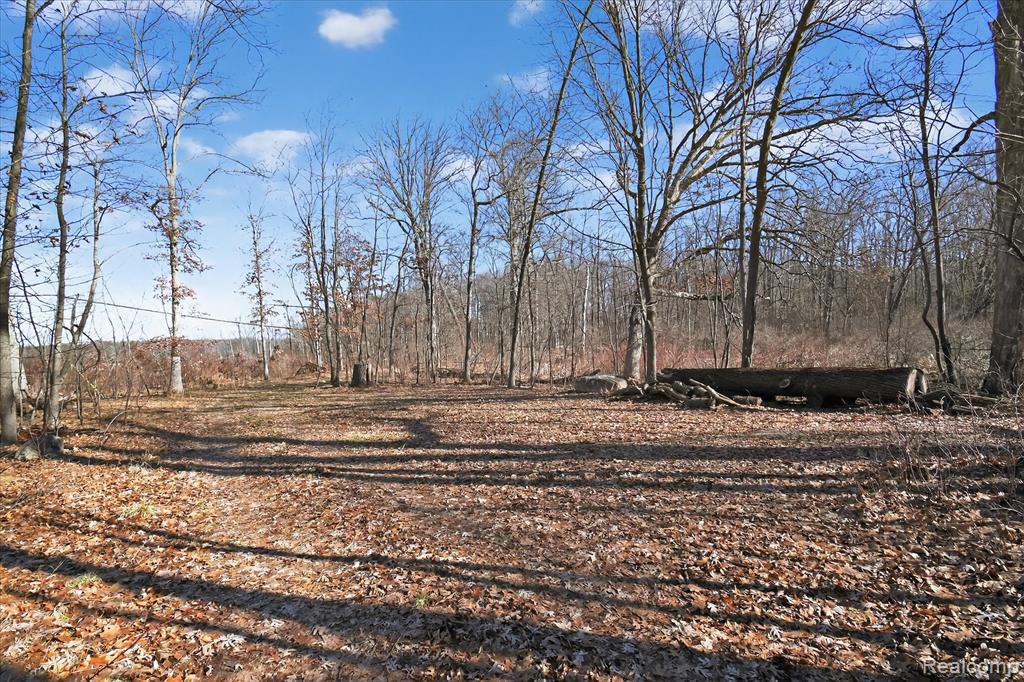 11770 Shaffer Road Property Photo 4