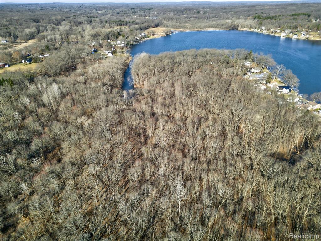 11770 Shaffer Road Property Photo 16