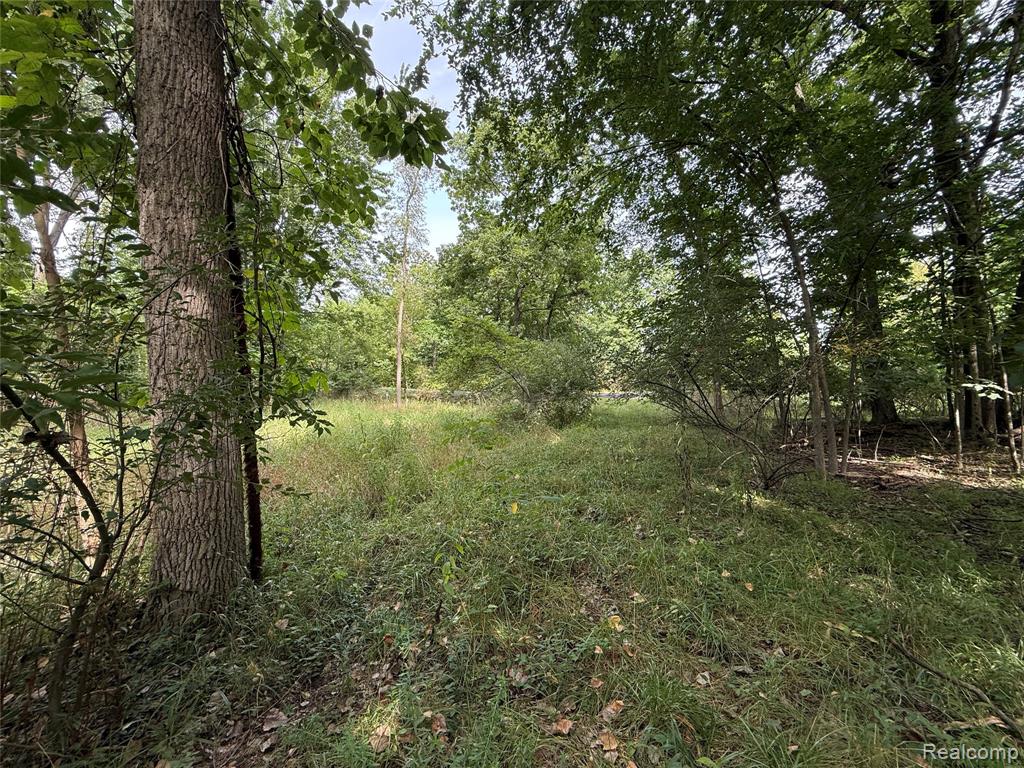 Lot 66 Preserve Drive Property Photo 1