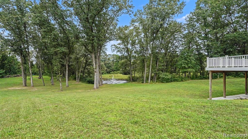 317 Elio Property Photo 38