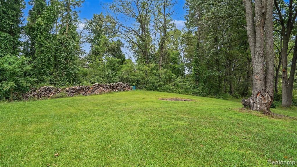 317 Elio Property Photo 39