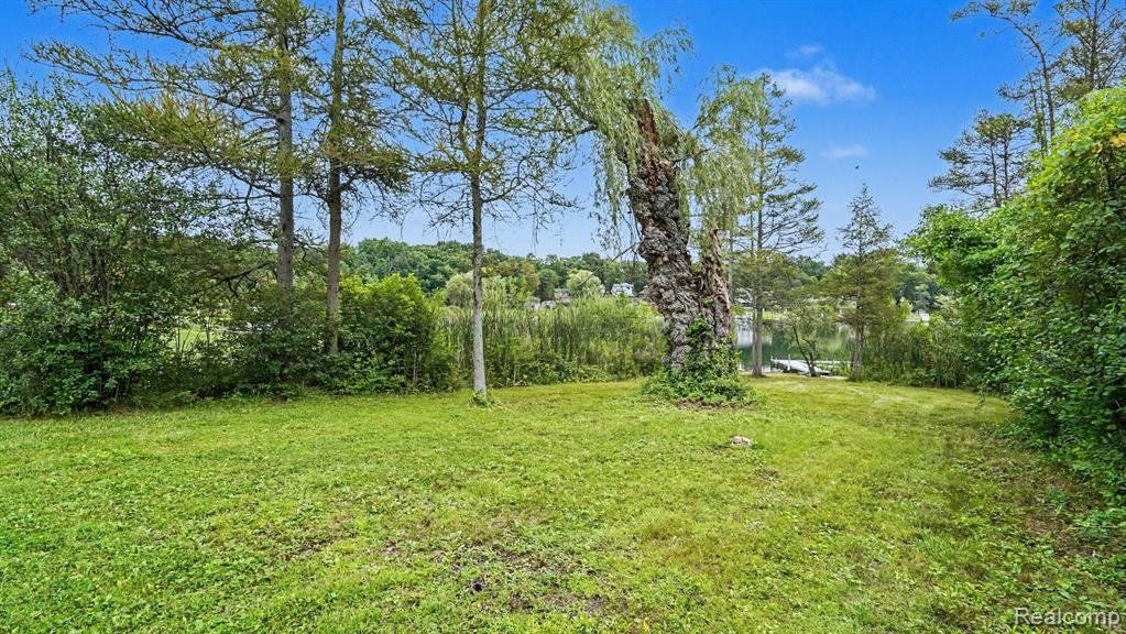 317 Elio Property Photo 47