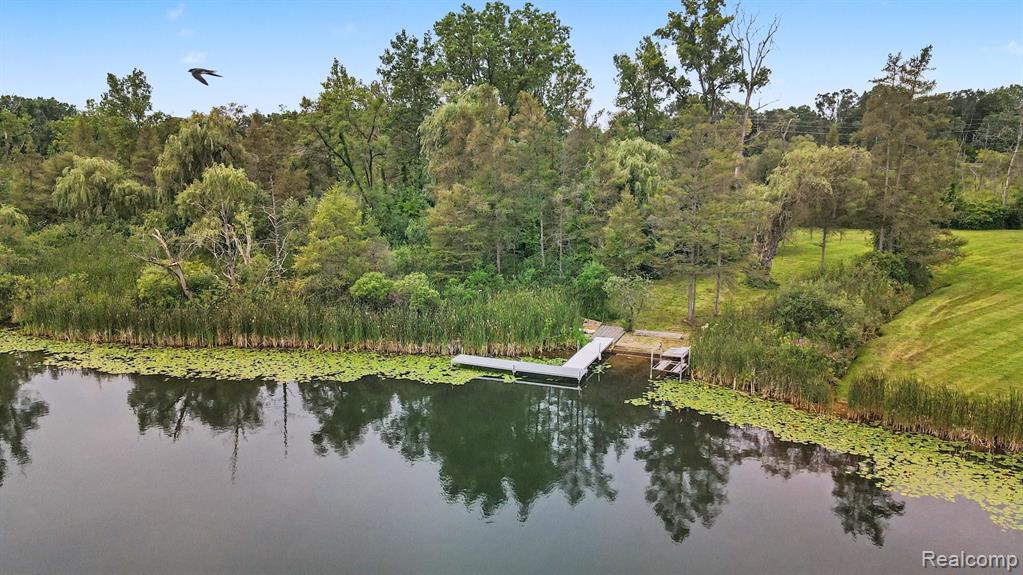 317 Elio Property Photo 49