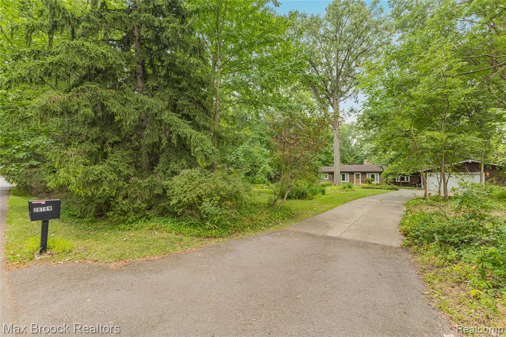 29799 Linden Street Property Photo 4