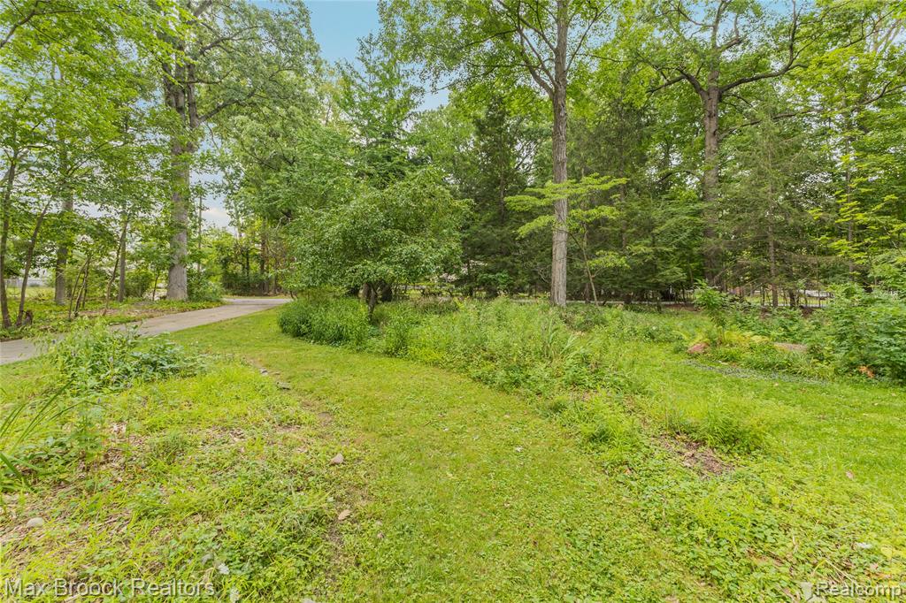 29799 Linden Street Property Photo 5