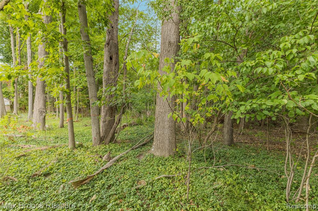 29799 Linden Street Property Photo 73