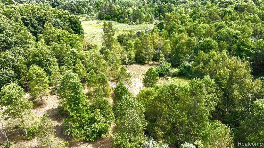 8342 N State Road Property Photo 17