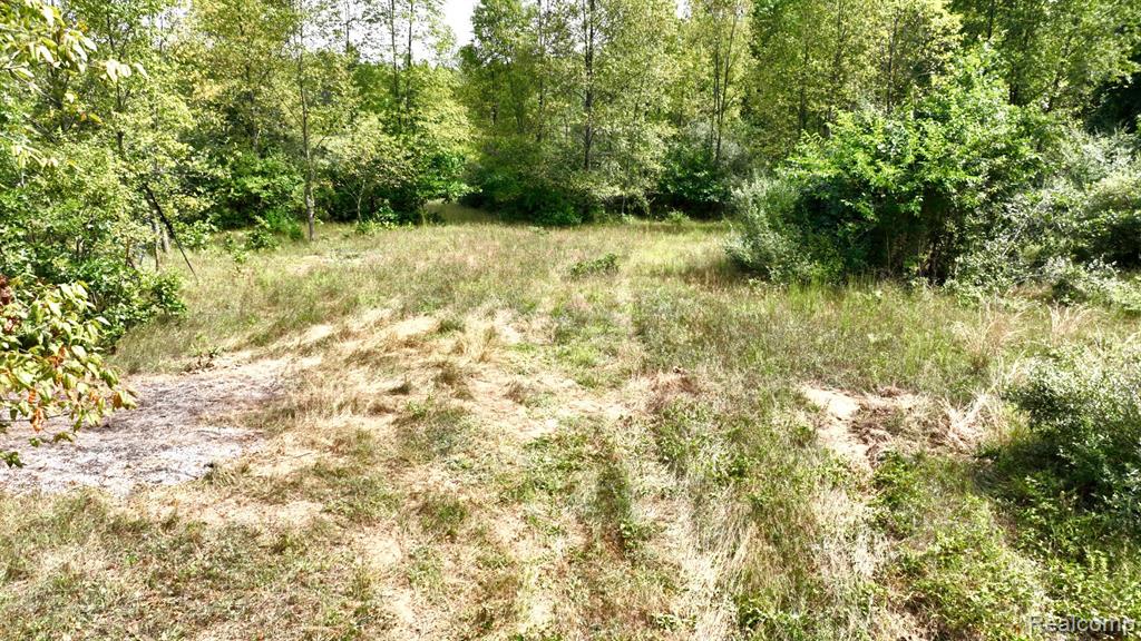 8342 N State Road Property Photo 19