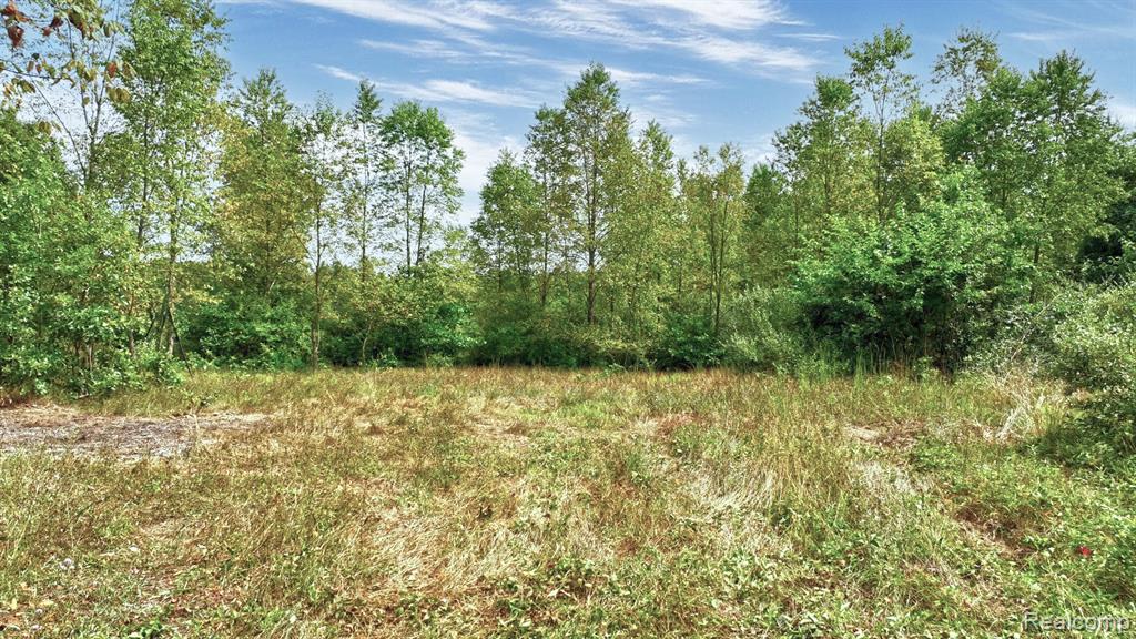 8342 N State Road Property Photo 20