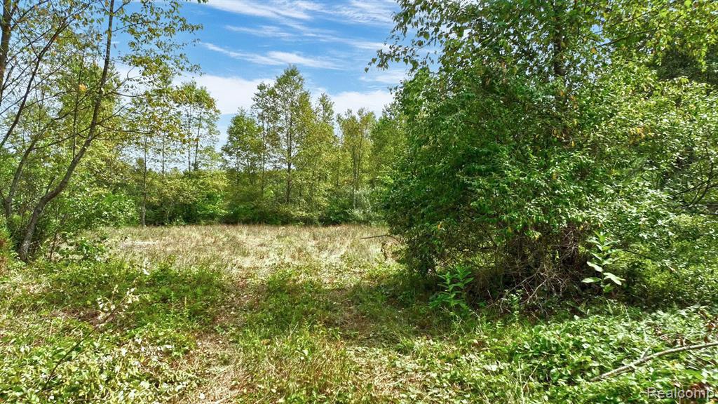 8342 N State Road Property Photo 21