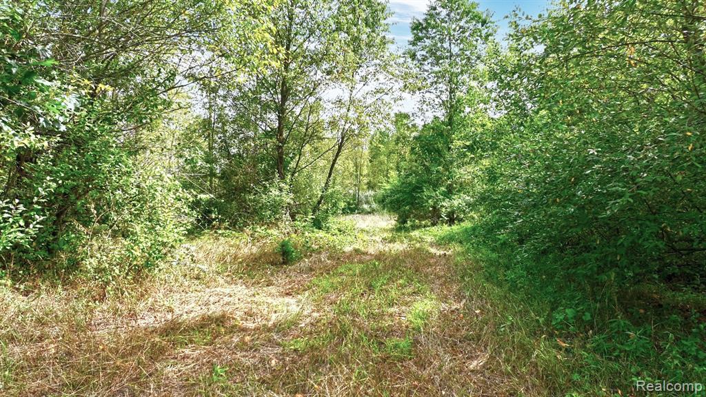 8342 N State Road Property Photo 22