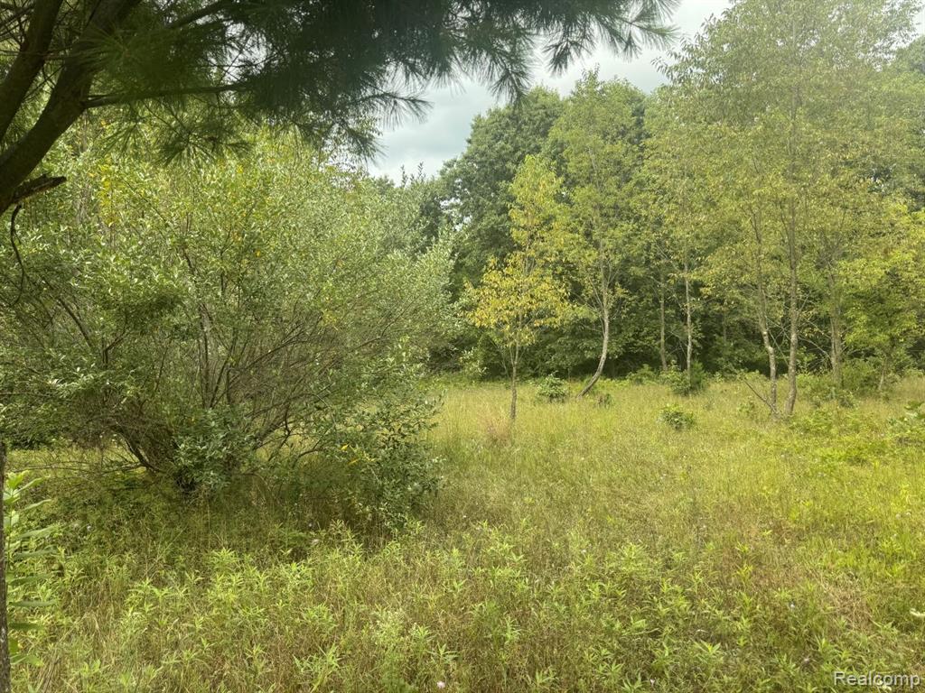 8342 N State Road Property Photo 23