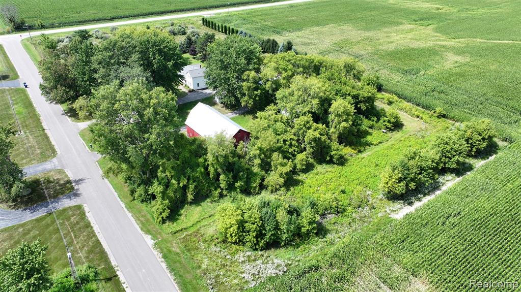12930 Wilkinson Road Property Photo 29