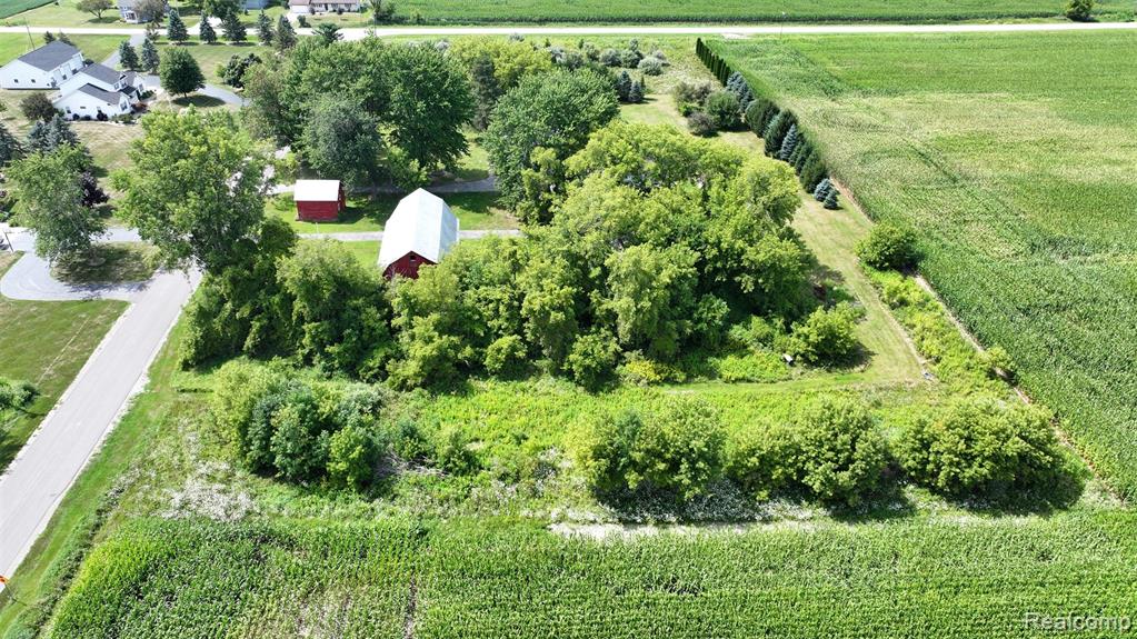 12930 Wilkinson Road Property Photo 30