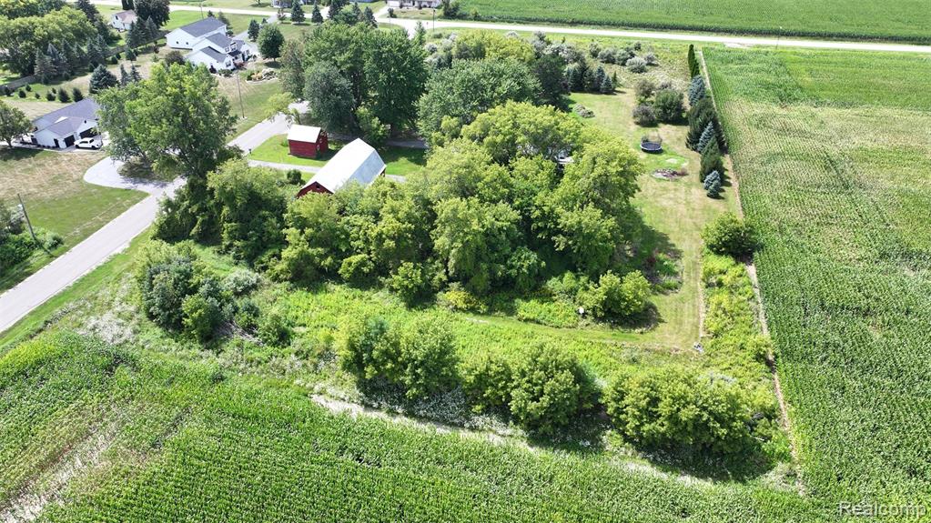 12930 Wilkinson Road Property Photo 31